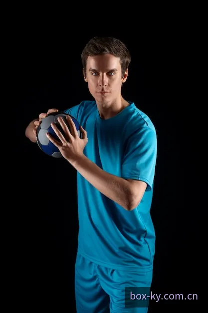 体育赛事球队资料视觉